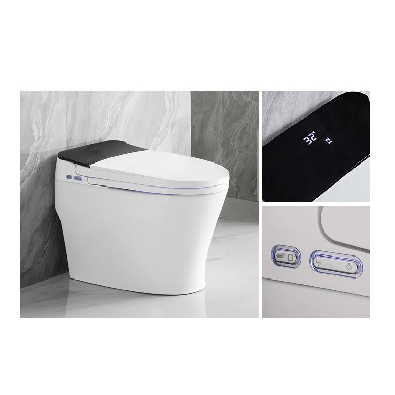 Smart Toilet